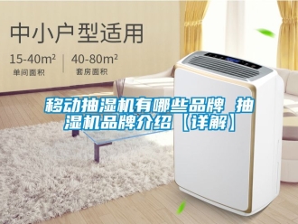 企業新聞移動抽濕機有哪些品牌 抽濕機品牌介紹【詳解】