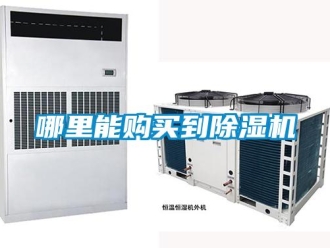 行業新聞哪里能購買到除濕機
