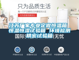 知識(shí)百科江蘇廠家專業(yè)定做恒溫箱 恒溫恒濕試驗(yàn)箱 環(huán)境檢測(cè)精密試驗(yàn)箱