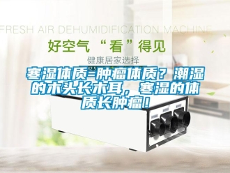 行業(yè)新聞寒濕體質(zhì)=腫瘤體質(zhì)？潮濕的木頭長(zhǎng)木耳，寒濕的體質(zhì)長(zhǎng)腫瘤！