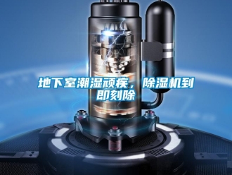 企業(yè)新聞地下室潮濕頑疾，除濕機(jī)到即刻除