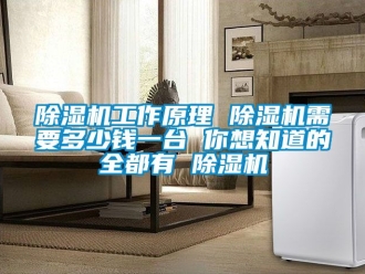 行業新聞除濕機工作原理 除濕機需要多少錢一臺 你想知道的全都有 除濕機