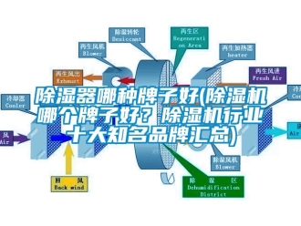 企業(yè)新聞除濕器哪種牌子好(除濕機(jī)哪個(gè)牌子好？除濕機(jī)行業(yè)十大知名品牌匯總)