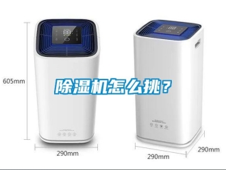 行業新聞除濕機怎么挑？