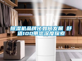 企業新聞除濕機品牌化如何發展　　舒適100帶您深度探索