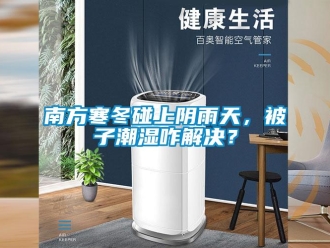 行業新聞南方寒冬碰上陰雨天，被子潮濕咋解決？