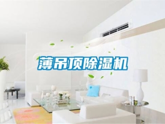 企業新聞薄吊頂除濕機