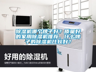 常見問題除濕機哪個牌子好？質量好的家用除濕機推薦，什么牌子的除濕機比較好？
