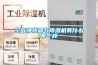 空調與除濕機哪個除濕效果更好？