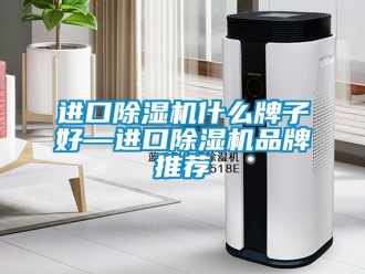 企業新聞進口除濕機什么牌子好—進口除濕機品牌推薦