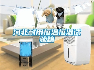 知識百科河北耐用恒溫恒濕試驗箱