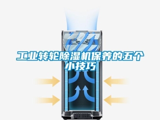 企業(yè)新聞工業(yè)轉(zhuǎn)輪除濕機保養(yǎng)的五個小技巧