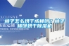 柿子怎么烘干成柿餅？柿子柿餅烘干除濕機