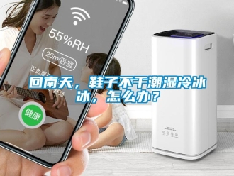 常見問題回南天，鞋子不干潮濕冷冰冰，怎么辦？