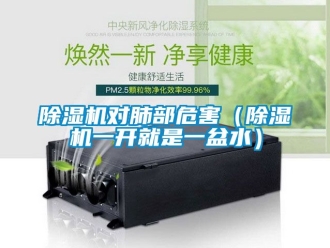 行業新聞除濕機對肺部危害（除濕機一開就是一盆水）