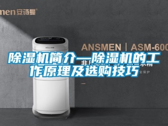 行業新聞除濕機簡介—除濕機的工作原理及選購技巧