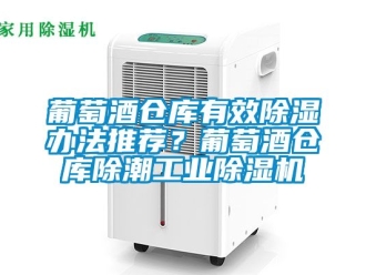 常見問題葡萄酒倉庫有效除濕辦法推薦？葡萄酒倉庫除潮工業除濕機