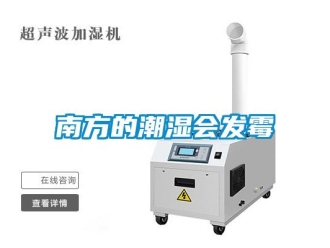 行業新聞南方的潮濕會發霉