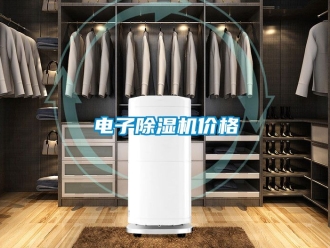 企業新聞電子除濕機價格