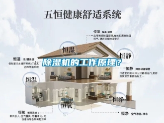 企業新聞除濕機的工作原理？