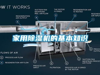 行業新聞家用除濕機的基本知識