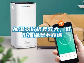 行業(yè)新聞加濕器價格差異大，低價加濕器不靠譜