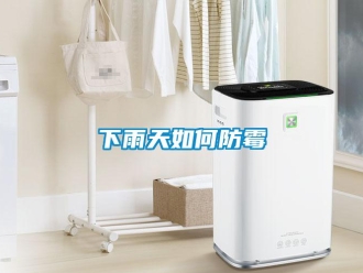常見(jiàn)問(wèn)題下雨天如何防霉