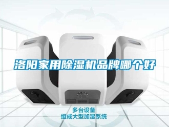 企業新聞洛陽家用除濕機品牌哪個好