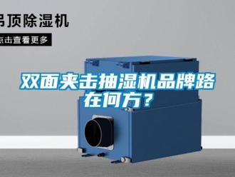 知識百科雙面夾擊抽濕機(jī)品牌路在何方？