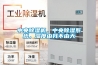 中央除濕機(jī)，中央除濕系統(tǒng)，濕度由我不由天