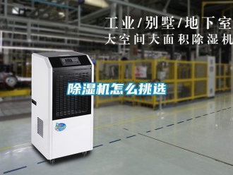 行業新聞除濕機怎么挑選