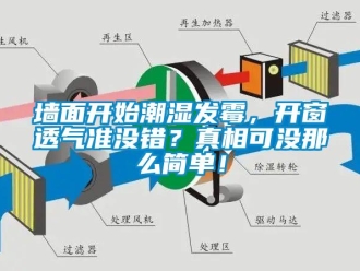 行業新聞墻面開始潮濕發霉，開窗透氣準沒錯？真相可沒那么簡單！