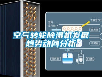 常見問題空氣轉(zhuǎn)輪除濕機(jī)發(fā)展趨勢動向分析