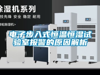 知識百科電子步入式恒溫恒濕試驗室報警的原因解析