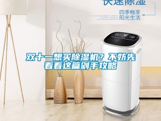 知識百科雙十一想買除濕機(jī)？不妨先看看這篇剁手攻略