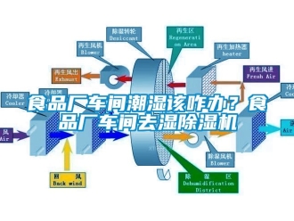 企業(yè)新聞食品廠車間潮濕該咋辦？食品廠車間去濕除濕機(jī)