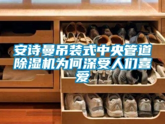 企業(yè)新聞安詩曼吊裝式中央管道除濕機為何深受人們喜愛