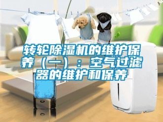 常見問題轉輪除濕機的維護保養(yǎng)（一）：空氣過濾器的維護和保養(yǎng)