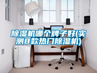 行業新聞除濕機哪個牌子好(實測8款熱門除濕機)