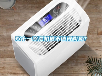 知識百科雙十一除濕機(jī)值不值得購買？