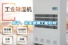 濕冷，讓冬天更冷！
