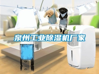 企業新聞泉州工業除濕機廠家