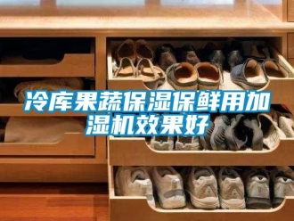行業新聞冷庫果蔬保濕保鮮用加濕機效果好