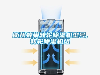 常見問題衢州蜂巢轉輪除濕機型號,轉輪除濕機組