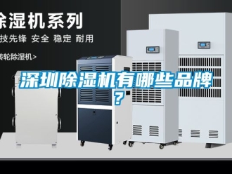 企業(yè)新聞深圳除濕機有哪些品牌？