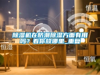 行業(yè)新聞除濕機在防潮除濕方面有用嗎？看你放哪里_重復