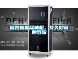 常見問題壁掛智能除味機，持久抑菌除異味