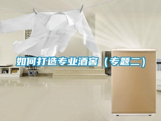 常見問題如何打造專業酒窖（專題二）