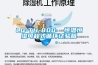 為什么除濕機越來越受歡迎？有什么優勢？