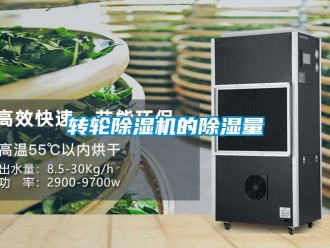 常見問題轉輪除濕機的除濕量